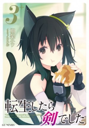 Tensei Shitara Ken Deshita (Ver.LN)